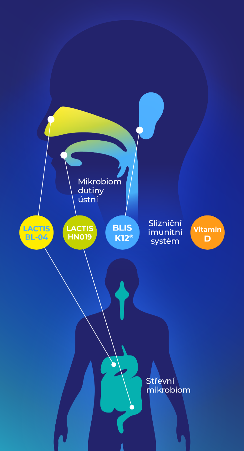 Banner-Jak-funguji_GSM@2x